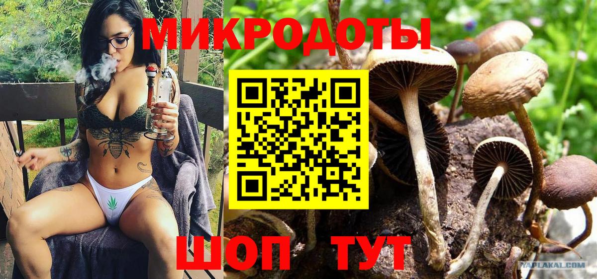 Галлюциногенные грибы мицелий Ленинск-Кузнецкий